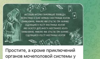 Екатерина Шульман сравнила ЛГБТ-сообщество с приключениями мочеполовой системы